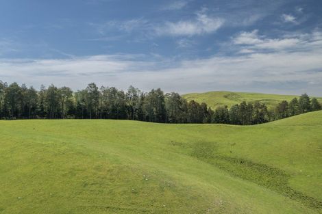 Photo of property in 5 Carlyon Road, Oueroa, Waipukurau, 4284