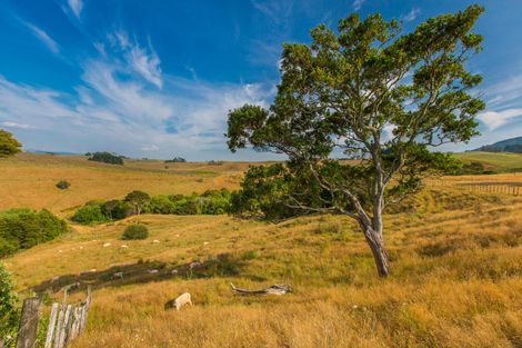 Photo of property in 81 Upper Wainui Road, Raglan, 3297