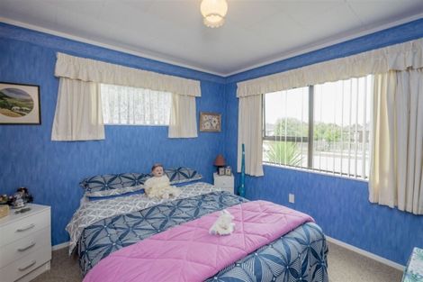 Photo of property in 87 Kennedy Drive, Levin, 5510
