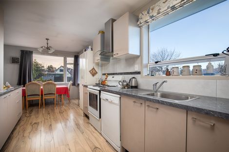 Photo of property in 45 Ashworth Street, Alexandra, 9320