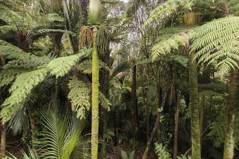 Photo of property in 26 Sylvan Valley Avenue, Titirangi, Auckland, 0604