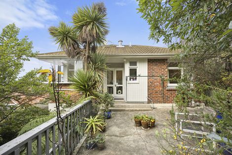 Photo of property in 106a Bedford Street, Saint Clair, Dunedin, 9012