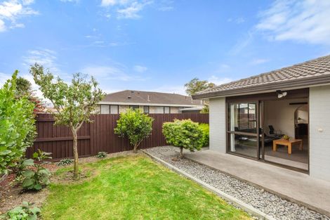 Photo of property in 49 Trevor Street, Hornby, Christchurch, 8042