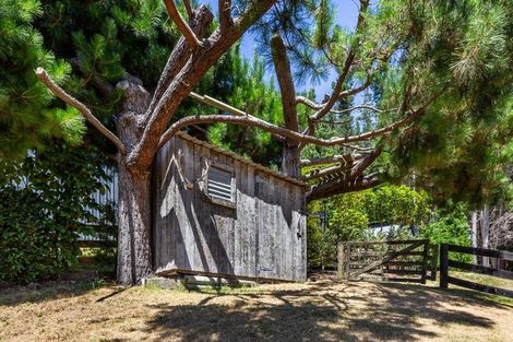 Photo of property in 22 Maple Grove, Acacia Bay, Taupo, 3385