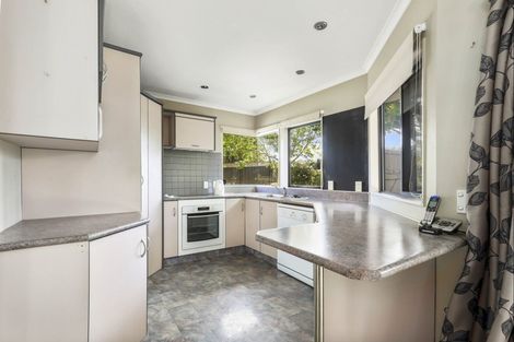 Photo of property in 51 Sunnyhills Avenue, Glenview, Hamilton, 3206