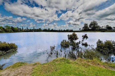 Photo of property in 46 Queen Mary Avenue, New Lynn, Auckland, 0600