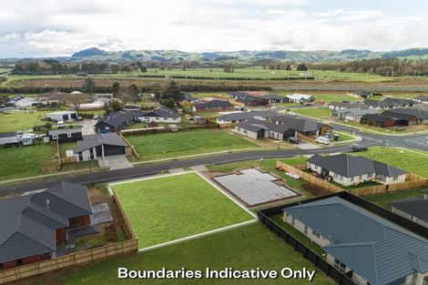 Photo of property in 26 Ruru Street, Cambridge, 3434