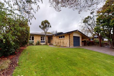 Photo of property in 19 Surrey Crescent, Hokowhitu, Palmerston North, 4410