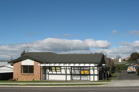 Photo of property in 3d Wallace Road, Waipukurau, 4200