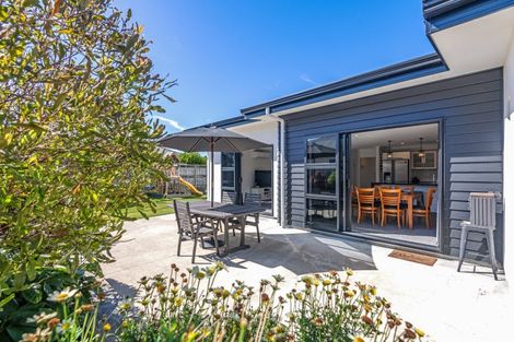 Photo of property in 8 Cherry Place, Feilding, 4702