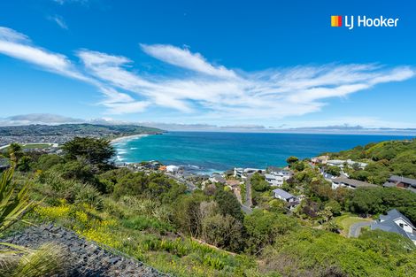 Photo of property in 2l Clayton Street, Saint Clair, Dunedin, 9012