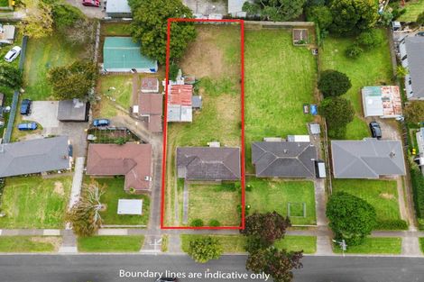 Photo of property in 36 Birdwood Road, Pukekohe, 2120