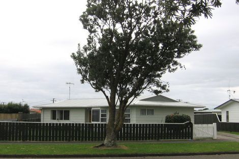 Photo of property in 24 Grenville Street, Levin, 5510