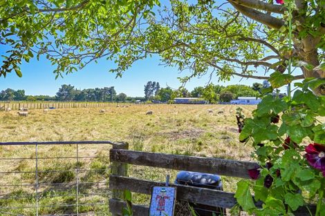 Photo of property in 736 Te Aute Road, Pakipaki, Hastings, 4172