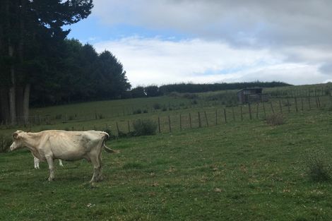 Photo of property in 4 Hattersley Grove, Churton Park, Wellington, 6037