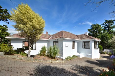 Photo of property in 53 Mayfield Avenue, Wakari, Dunedin, 9010