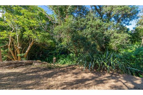 Photo of property in 59 Hauraki Road, Leigh, Warkworth, 0985