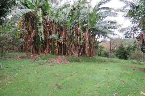 Photo of property in 61 Wiroa Road, Kerikeri, 0293