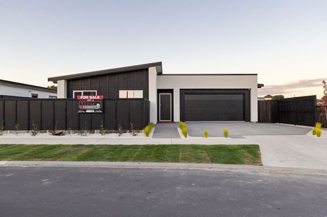 Photo of property in 20 Mangatainoka Lane, Awapuni, 4412