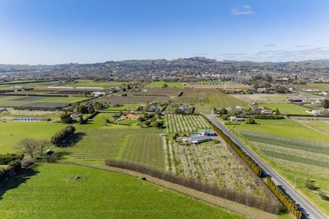 Photo of property in 1280 Howard Street, Parkvale, Hastings, 4122