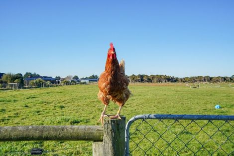 Photo of property in 143 Black Road, Otatara, Invercargill, 9879