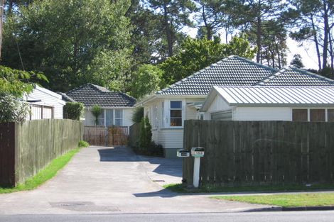 Photo of property in 153a Portage Road, New Lynn, Auckland, 0600