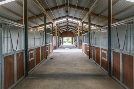 Photo of property in 381 Mystery Creek Road, Ohaupo, 3881