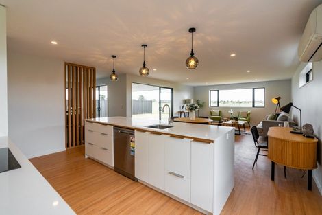 Photo of property in 35 Ranginui Drive, Kaiapoi, 7630