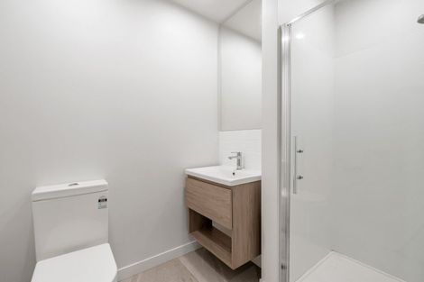 Photo of property in 124u3 Britomart Street, Berhampore, Wellington, 6023