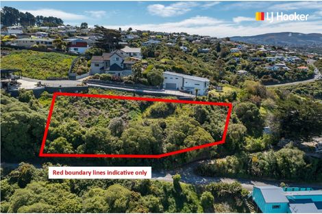 Photo of property in 2l Clayton Street, Saint Clair, Dunedin, 9012