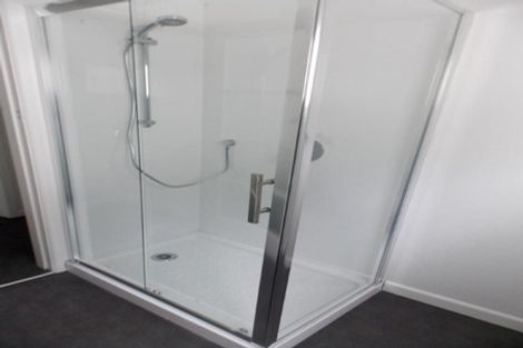 Photo of property in 196a Hanson Street, Newtown, Wellington, 6021