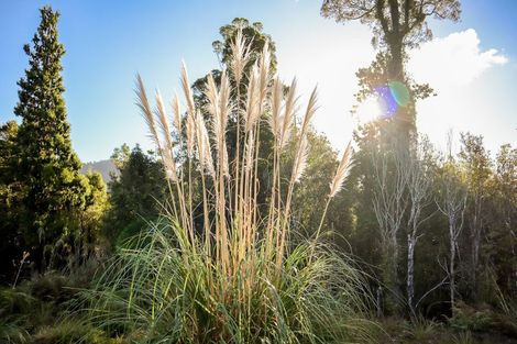 Photo of property in 172 Clifton Road, Kaiata, Greymouth, 7805