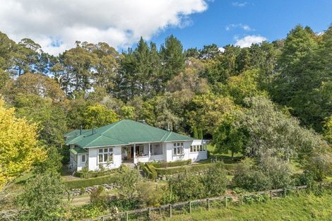 Photo of property in 112 Donghi Road, Ormondville, Dannevirke, 4977