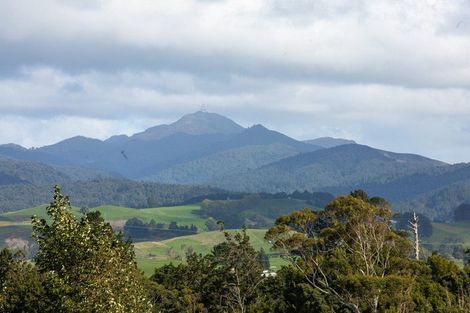 Photo of property in 59 Poland Street, Waikino, Waihi, 3682