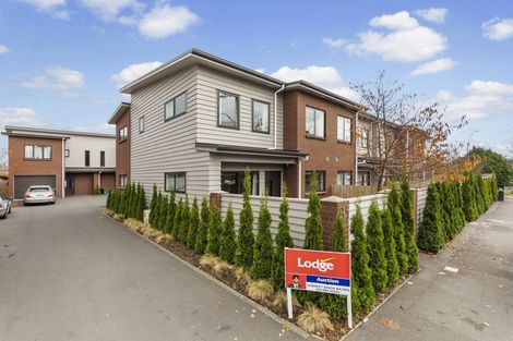 Photo of property in 85u1 Normandy Avenue, Melville, Hamilton, 3206