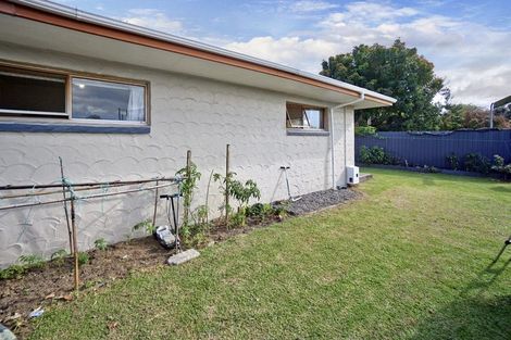 Photo of property in 157a Cameron Road, Te Puke, 3119