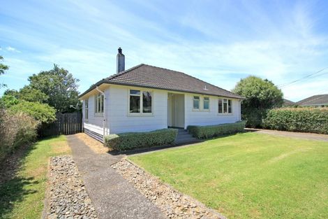 Photo of property in 19 Miro Street, Merrilands, New Plymouth, 4312