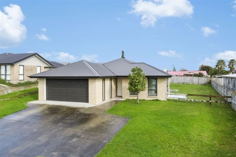 Photo of property in 20 Mcgowan Rise, Tuakau, 2121