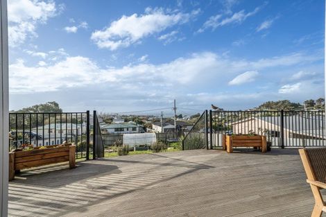 Photo of property in 46a Theodore Street, Bluff, 9814