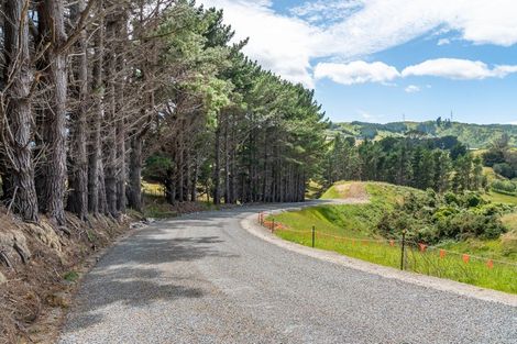 Photo of property in 207 Flightys Road, Judgeford, Porirua, 5381