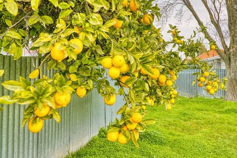Photo of property in 66a Douglas Mclean Avenue, Marewa, Napier, 4110