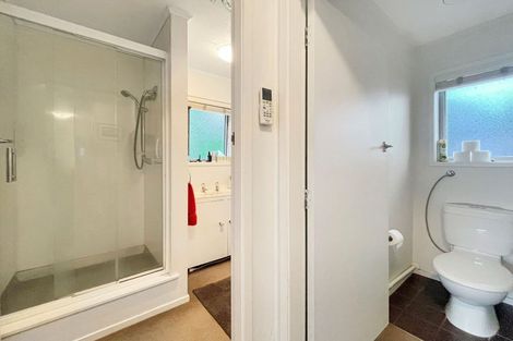 Photo of property in 62 Firth Street, Hamilton East, Hamilton, 3216