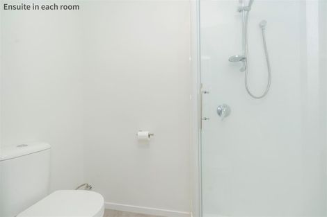 Photo of property in 4u5 Hammond Street, Hamilton Central, Hamilton, 3204