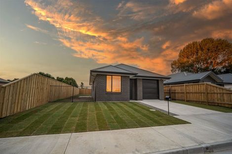 Photo of property in 53 Henshaw Street, Woodend, 7610