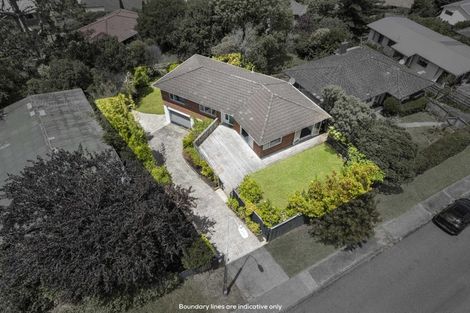 Photo of property in 41 Woodstock Road, Forrest Hill, Auckland, 0620