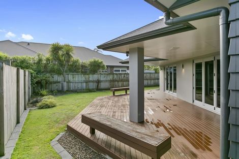 Photo of property in 25 Madison Street, Cambridge, 3434