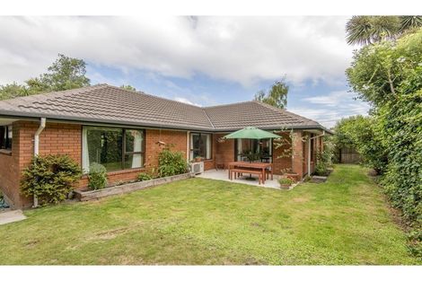 Photo of property in 261 Ashgrove Terrace, Somerfield, Christchurch, 8024