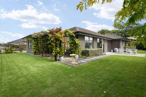 Photo of property in 10d4 Clive Road, Katikati, 3129