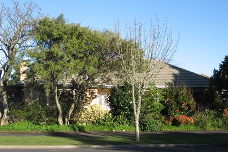 Photo of property in 155 Nixon Street, Hamilton East, Hamilton, 3216