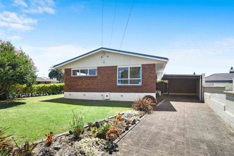 Photo of property in 31 Donny Avenue, Chartwell, Hamilton, 3210